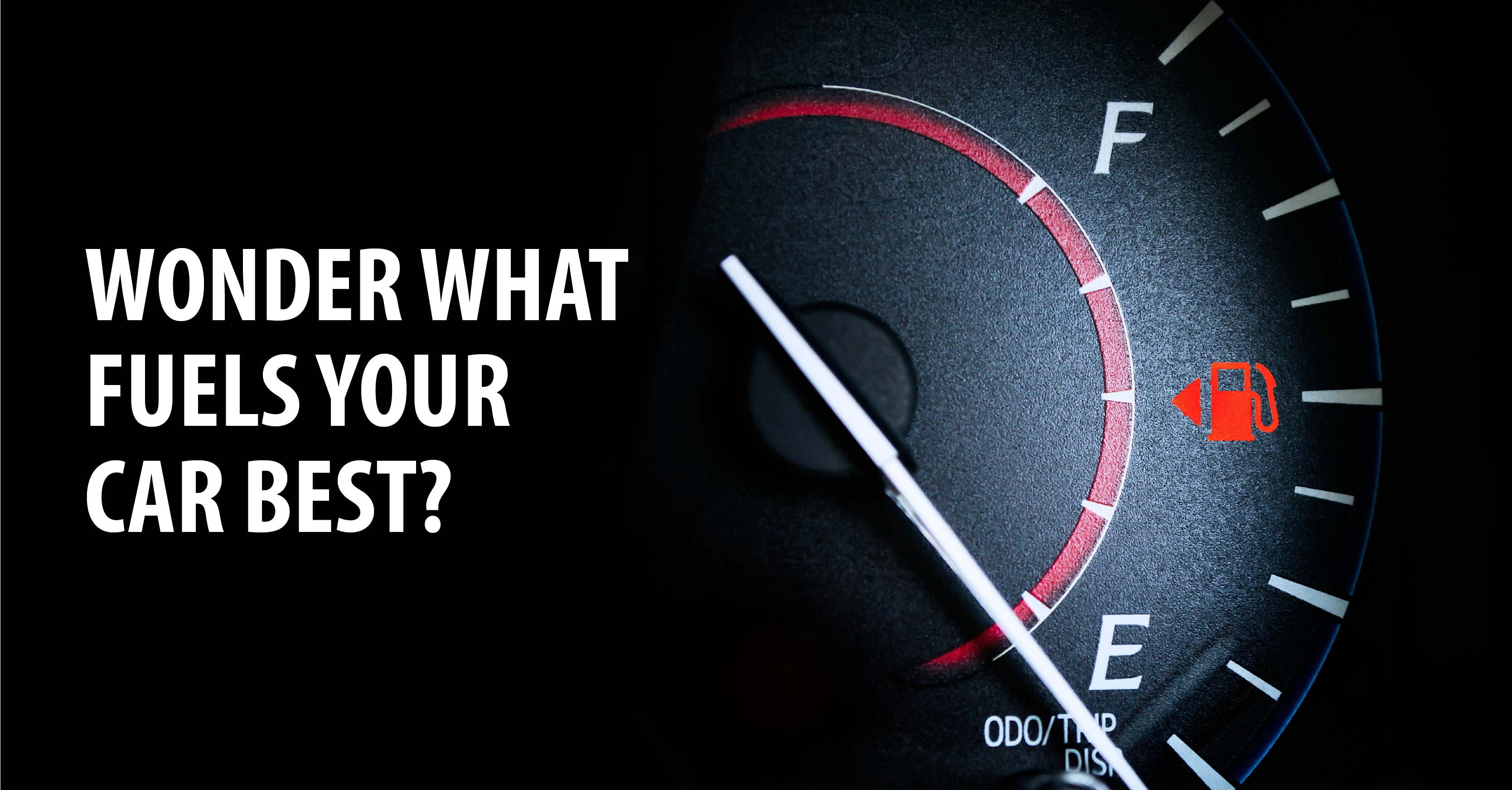 WONDER WHAT FUELS YOUR CAR BEST?